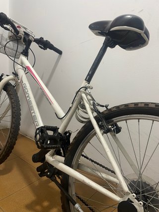 Bicicleta Romester Cross Junior