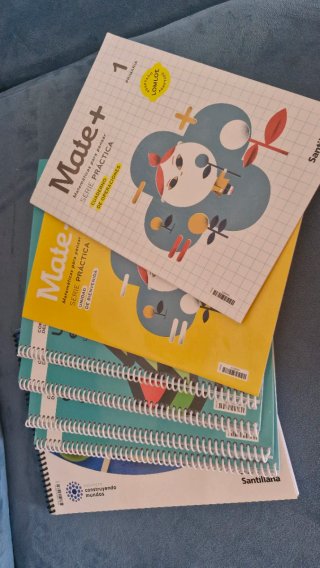Lote libros 1 primaria Santillana