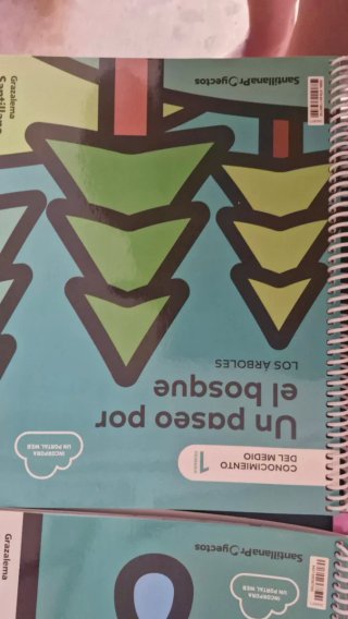 Lote libros 1 primaria Santillana