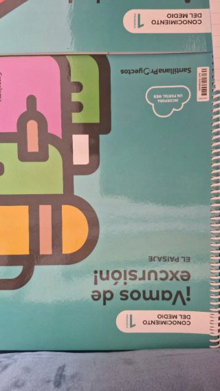 Lote libros 1 primaria Santillana