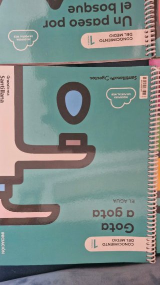 Lote libros 1 primaria Santillana