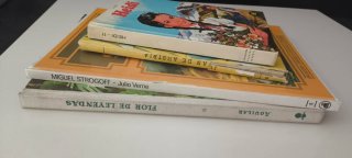 Lote 4 Libros Juveniles Antiguos / Clásicos