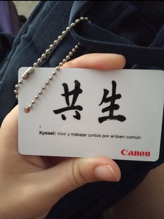 Mochila cámara
