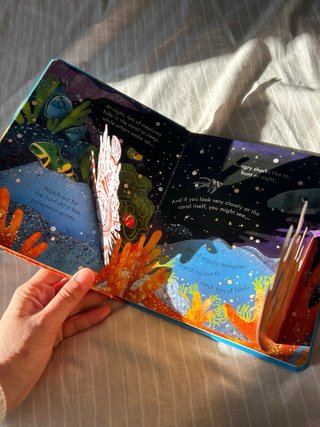 Libro infantil en inglés/ children book in English
