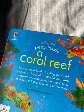 Libro infantil en inglés/ children book in English