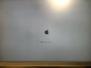 GRAFICA NVIDIA GeForce GT 120 (Mac Pro 5.1)