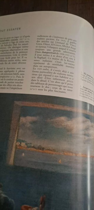 Libro pintura Salvador Dalí en francés