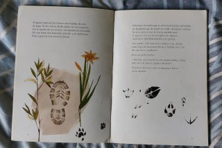 Libros infantiles 8-10 años | Aventuras y humor