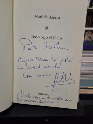 Todo bajo el Cielo