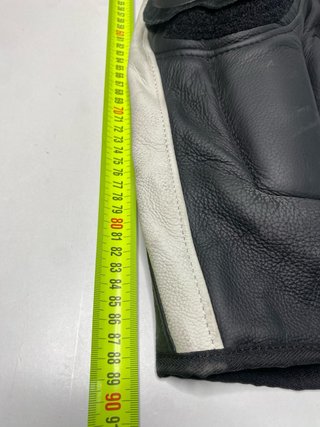 : Pantalón Dainese Delta Pro Evo C2 Piel Moto