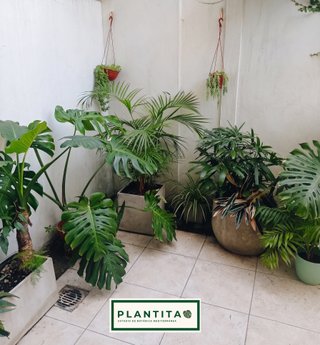 Guarderia y cuidado de plantas