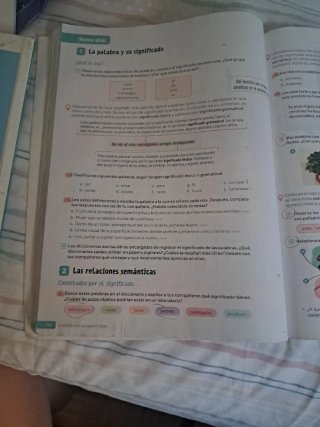 Lengua castellana y literatura