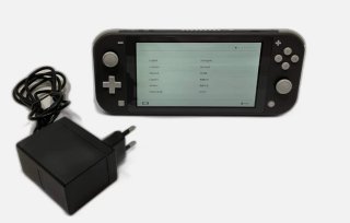 Nintendo Switch Lite Gris