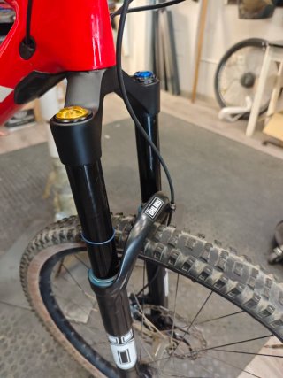 Trek Slash 9.9 RSL