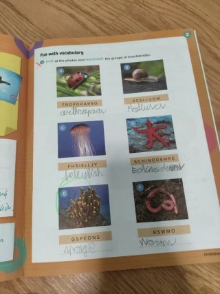 NATURAL SCIENCE 3 PRIMARY ACTIVITY BOOK WORLD M...