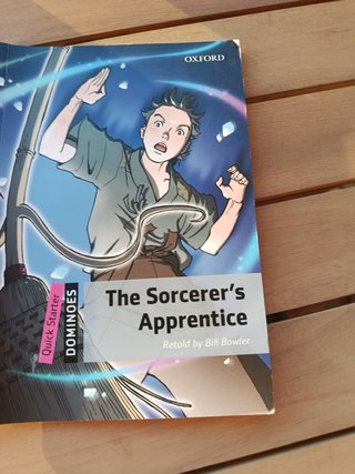 Libro The Socerers Apprentice