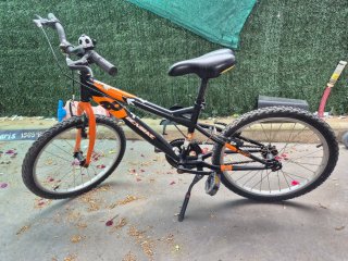 Bicicleta infantil 20 DENBIKE