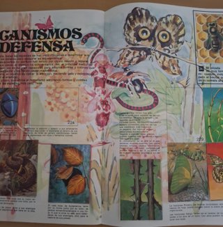Álbum de cromos adivinanzas