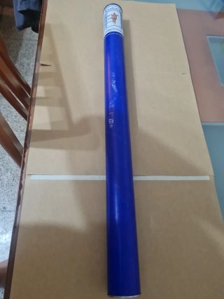 Lámina Anatomía: Sistema Muscular Reversible
