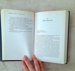 Merlino. Il destino di un giovane mago