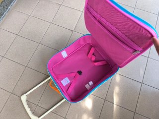 Trolley bambino con cani e uccellini