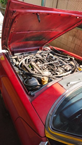 Jaguar XJS V12