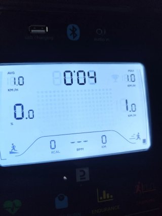 Cinta de Correr Domyos T900D