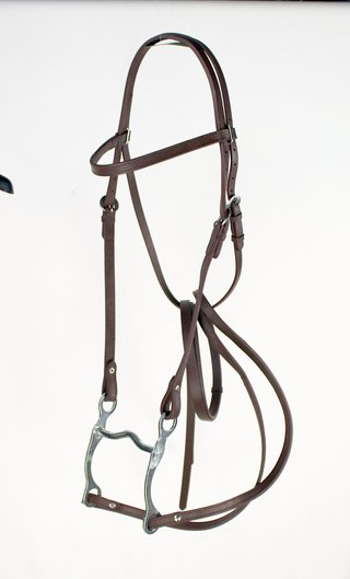 Briglia western con morso e redini