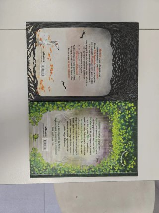 2 libros Mortina