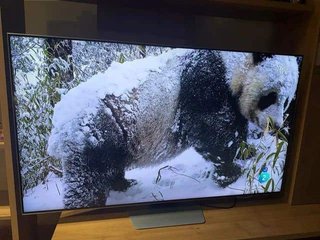 Samsung Smart TV QLED 55 Negro