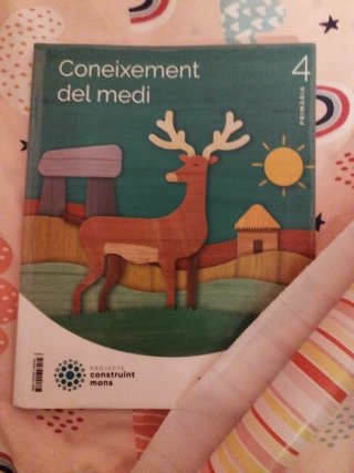 Coneixement del medi, 4 Primària, Projecte Cons...