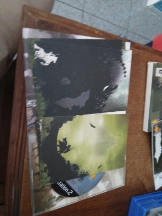 Shadow of the Colossus PS2
