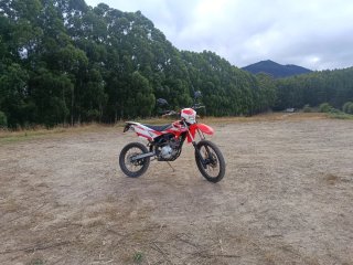 Beta RR 125 4T Supermotard Moto ITV 2028