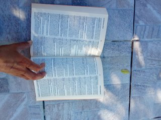 Dizionario