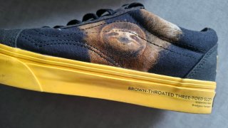 Vans x Nat Geo Old Skool Talla 38