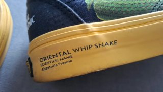 Vans x Nat Geo Old Skool Talla 38
