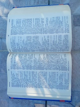 Dizionario fondamentale francese italiano itali...