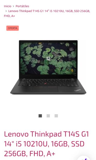 Lenovo Thinkpad T14S G1 14 i5 10210U