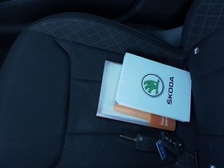 Skoda Kamiq 1.0 TSI Ambition 81 kW (110 CV)