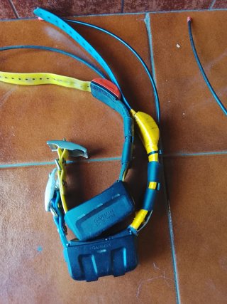 Garmin Alpha 100 + 4 collares