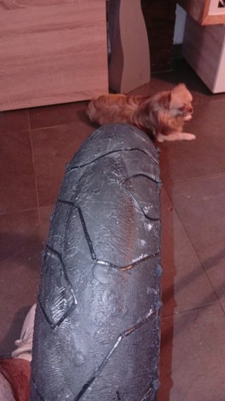 Neumático Pirelli Diablo Superbike SC1