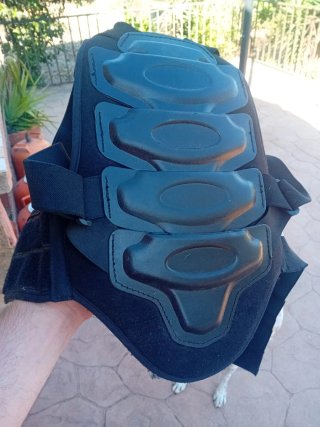 Casco y chaleco hípica