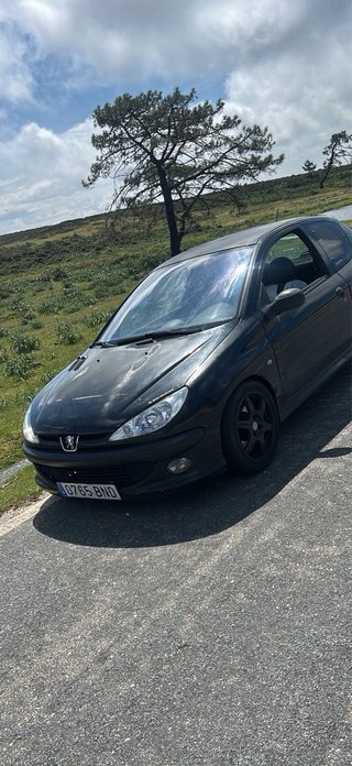 Peugeot 206 xs