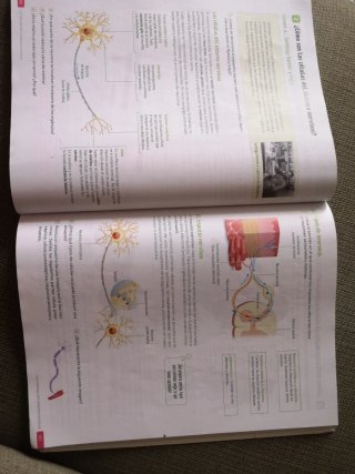 Biología y Geología. 3 Secundaria. Revuela. Cas...