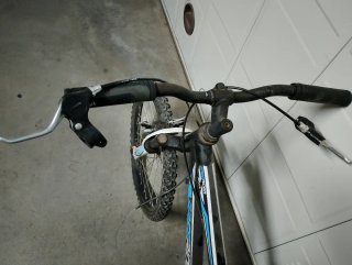 Bicicleta infantil Freerider 20
