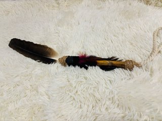 Pluma Buitre Artesanal Chamánica