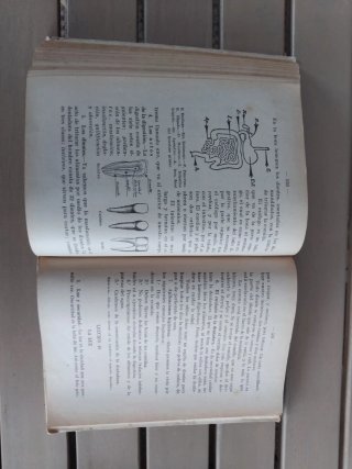 Nueva enciclopedia escolar
