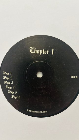 Lote de 24 Vinilos Experimental