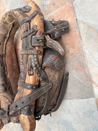 Collarón de cuero para caballo