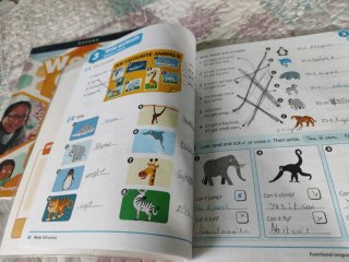Libros inglés Oxford 2 primaria